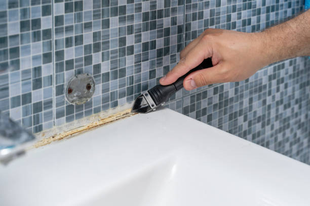 Best Certified Mold Removal  in Bellwood, IL